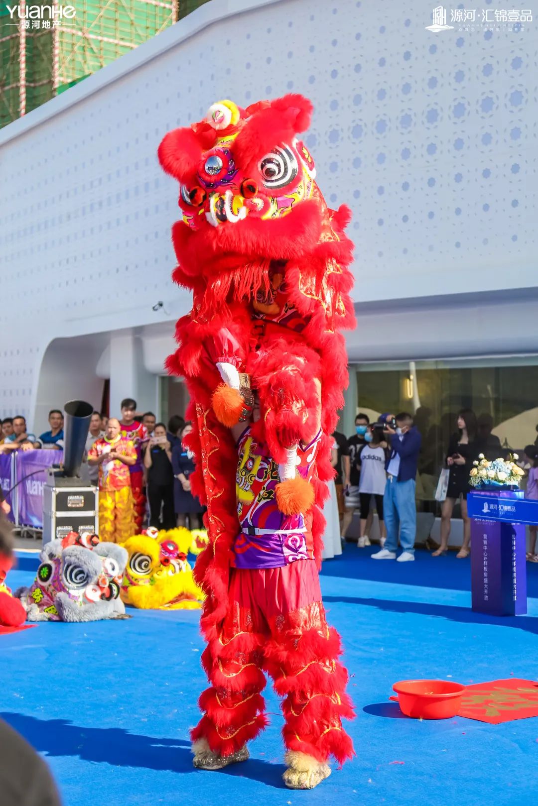 11084235.jpg 图片