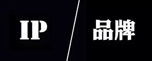 零号时光在中联律师事务所进行短视频教学 零号时光在中联律师事务所进行短视频教学